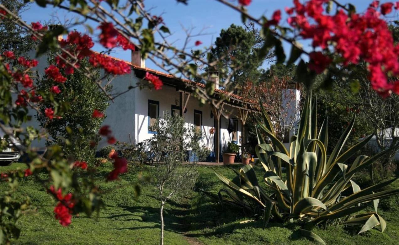 Monte Da Choca Guest House São Teotónio Екстериор снимка