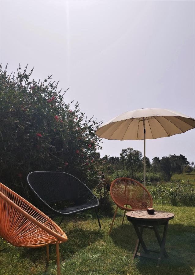 Monte Da Choca Guest House São Teotónio Екстериор снимка