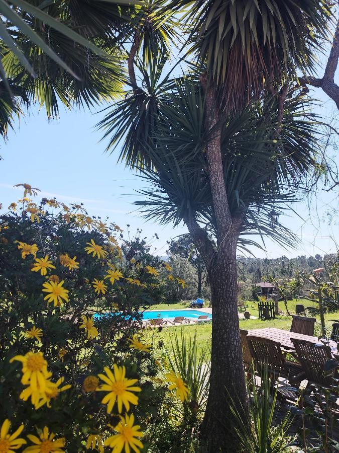 Monte Da Choca Guest House São Teotónio Екстериор снимка